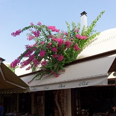 2015-09-11 15-55-46 Kos